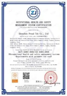 ISO 45001 certificate (thumbnail)